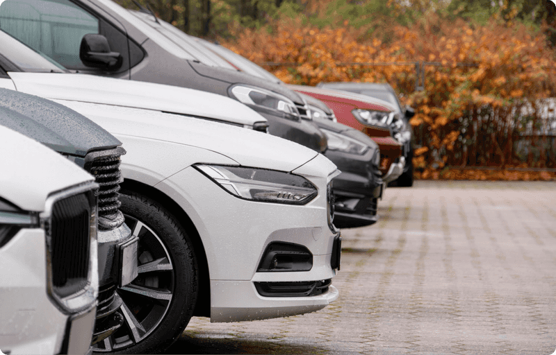 A row of potential cars to choose from